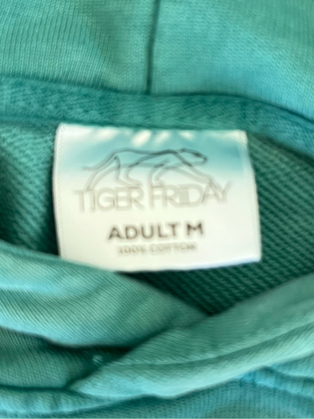 Tiger Friday Elevate Hoodie Sweatshirt Pullover Aloe Men’s Size Medium - Picture 5 of 11